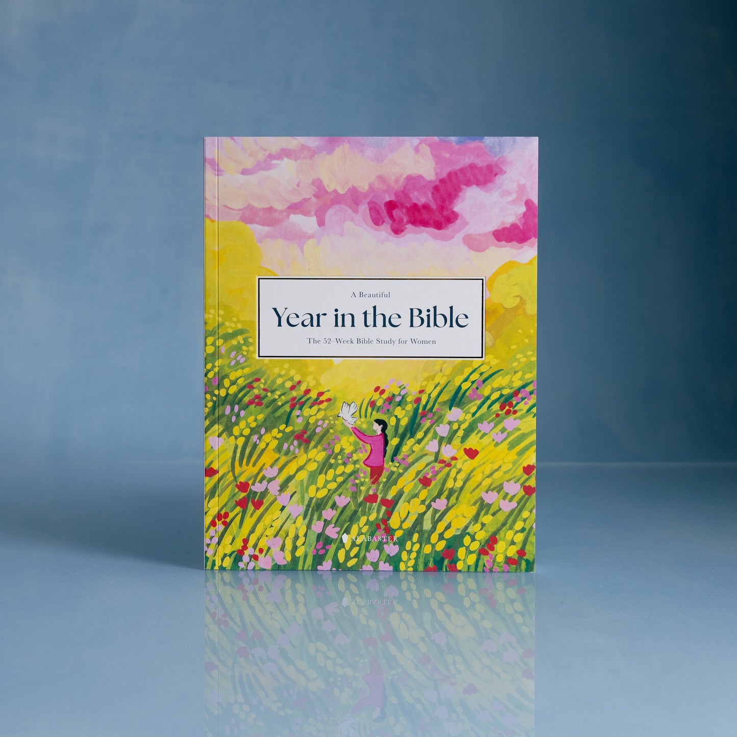 A Beautiful Year in the Bible: The 52-Week Bible Study for Women